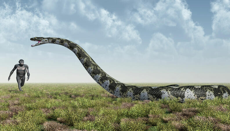 Saiba o que significa sonhar com cobra gigante