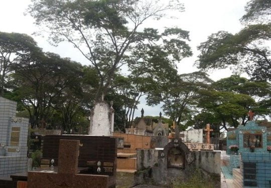 Cemitérios em São Bernardo do Campo: Confira os dias, e horários de funcionamento